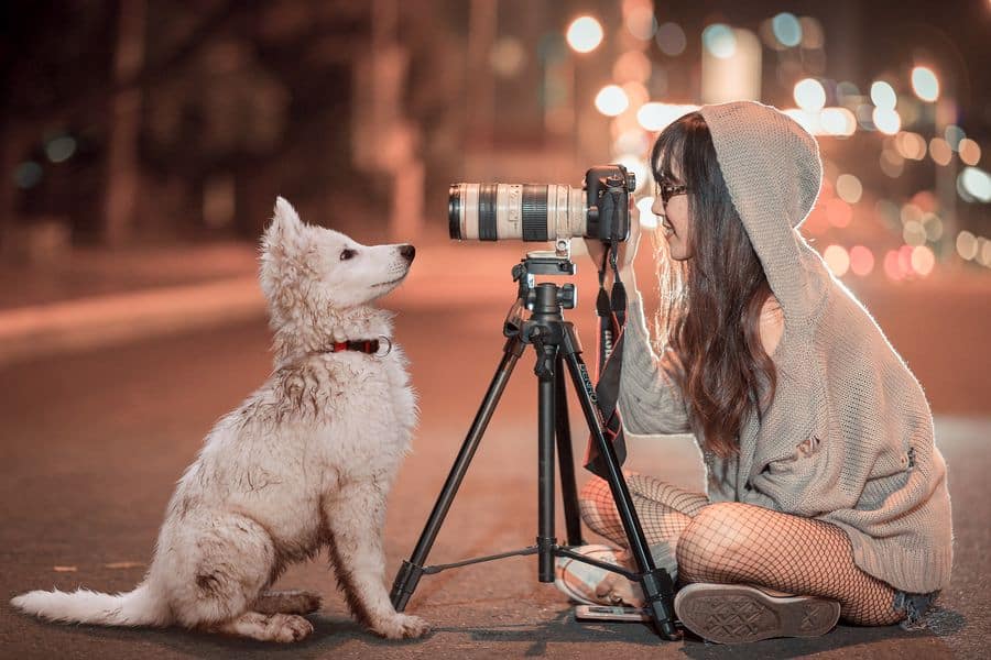 Woman taking a photo of a dog