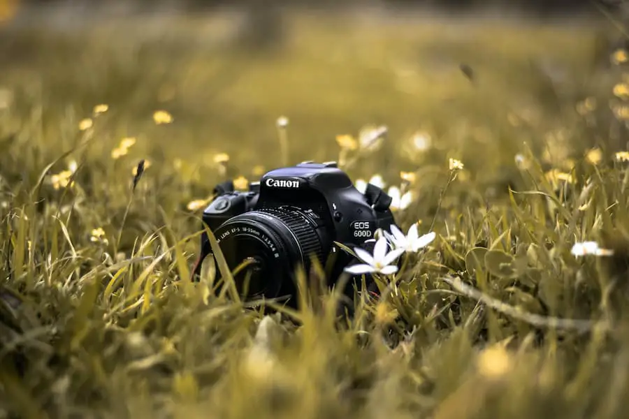 Canon T3I on grass with flowers